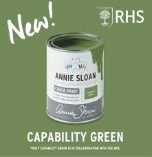 Annie Sloan Chalk Paint - Capability Green