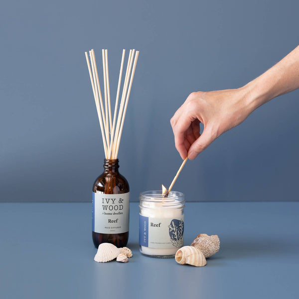 Homebody: Reef Reed Diffuser