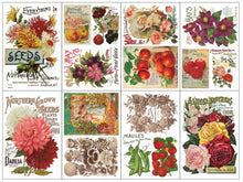 Iron Orchid Designs ‘Seed Catalogue’ decor transfer pad