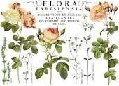 Flora Parisiensis | Iron Orchid Designs | Furnishin Designs