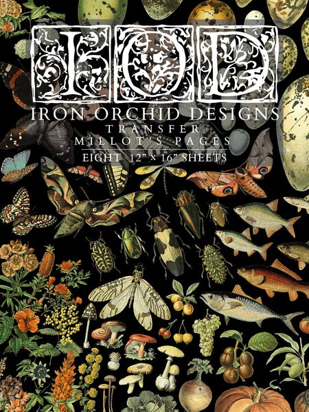 Millot’s Pages - IOD Decor Transfer