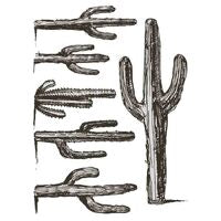Iron Orchid Designs ‘Desperado’ Transfer pad