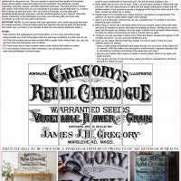 Iron Orchid Designs Decor Paint Inlays - Gregory’s Catalogue