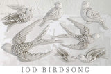 IRON ORCHID DESIGNS BIRDSONG MOULD