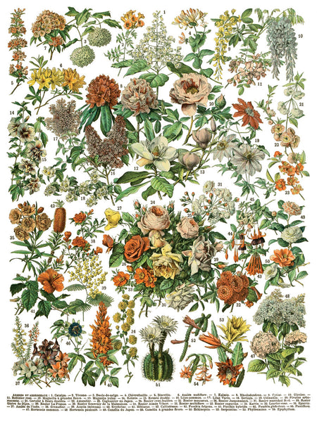 Millot’s Pages - IOD Decor Transfer