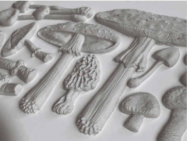 Toadstool Mould - IOD