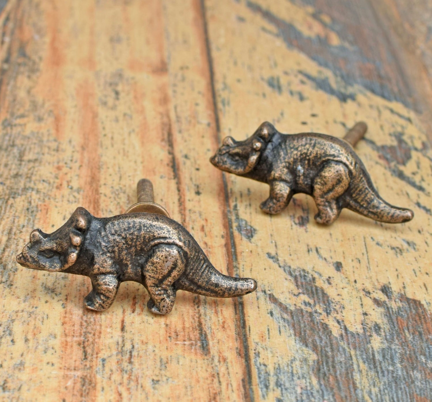 Cast iron Triceratops dinosaur knobs
