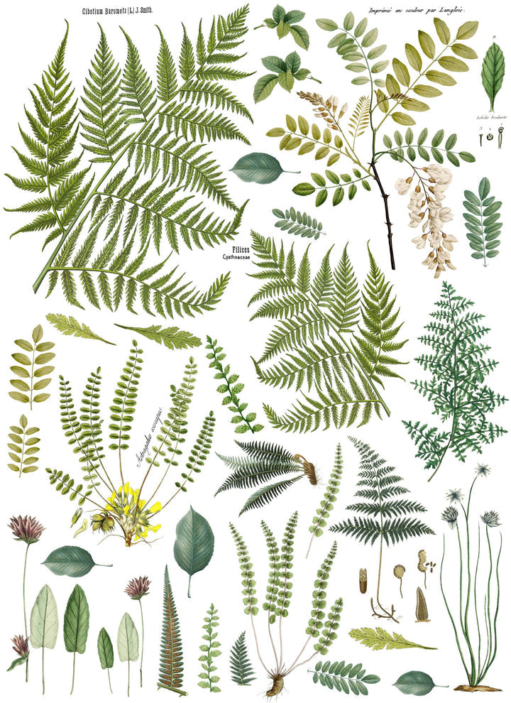 IOD Fronds Transfer | Furnishin Designs 